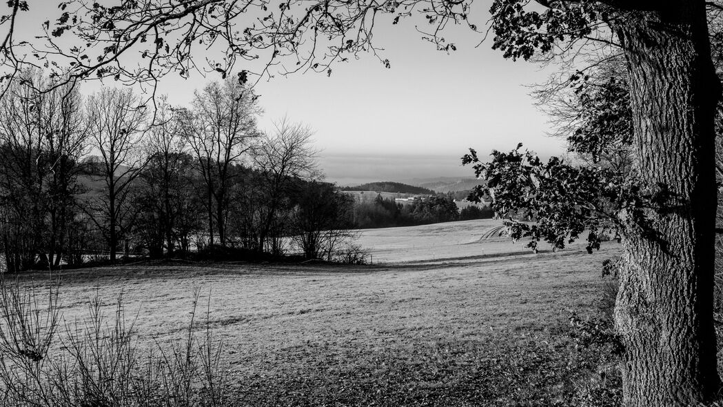 3840x2160 草坪 景观 bw 丘陵 树木 4k壁纸 uhd 16:9