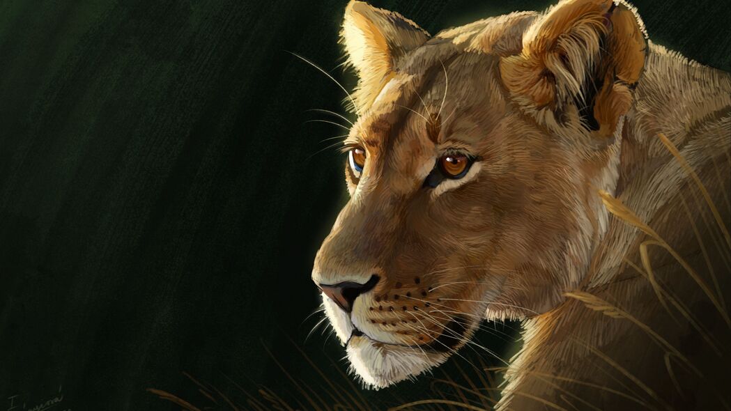 3840x2160 母狮 大猫 捕食者 一瞥 艺术 4k壁纸 uhd 16:9