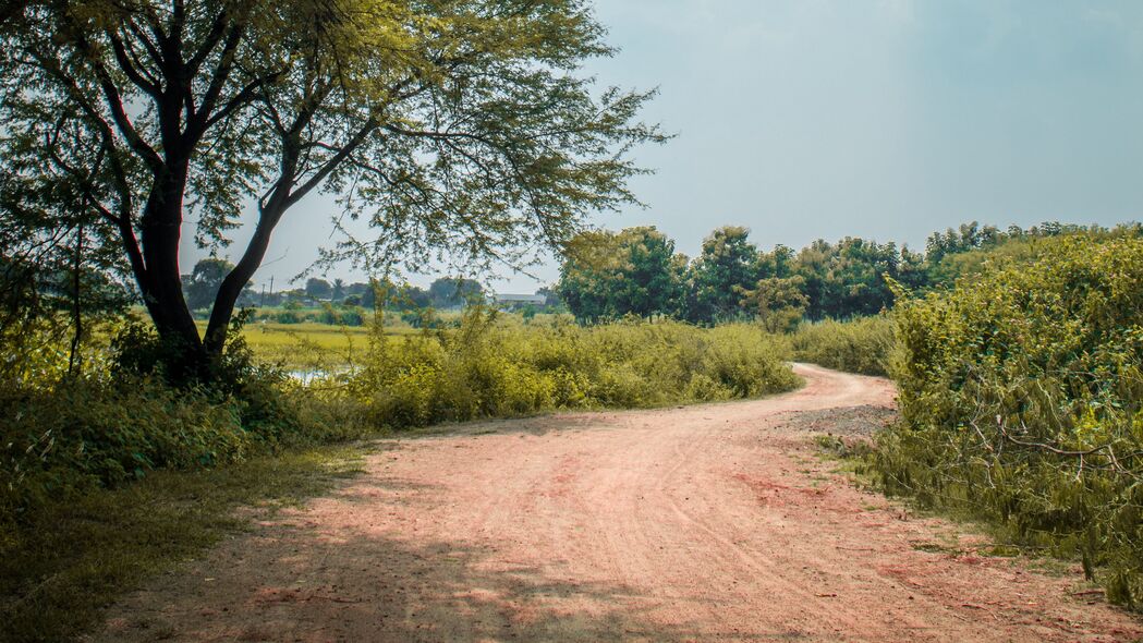 3840x2160 道路 树木 灌木 转弯 自然 4k壁纸 uhd 16:9