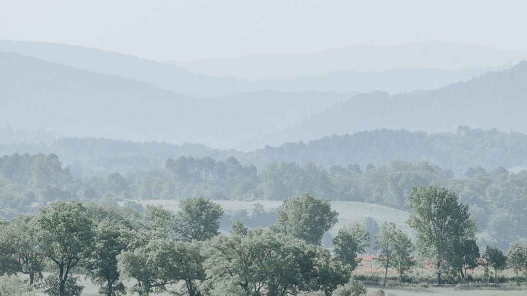 3840x2160 山丘 树木 雾 地平线 风景 4k壁纸 uhd 16:9