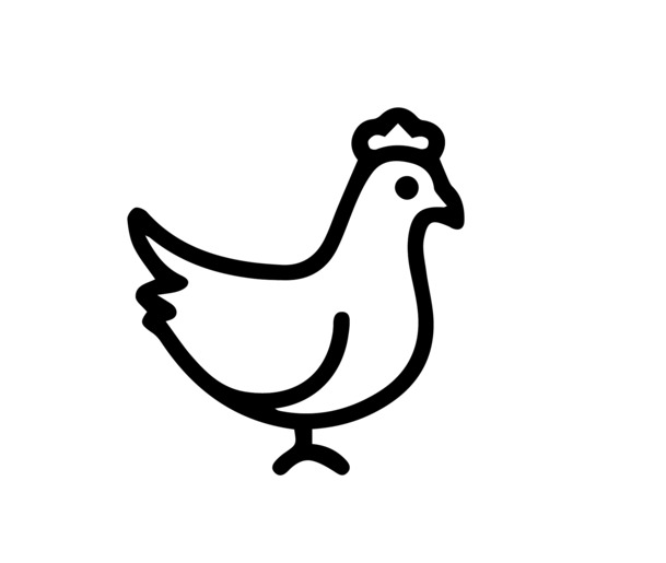 鸡矢量图