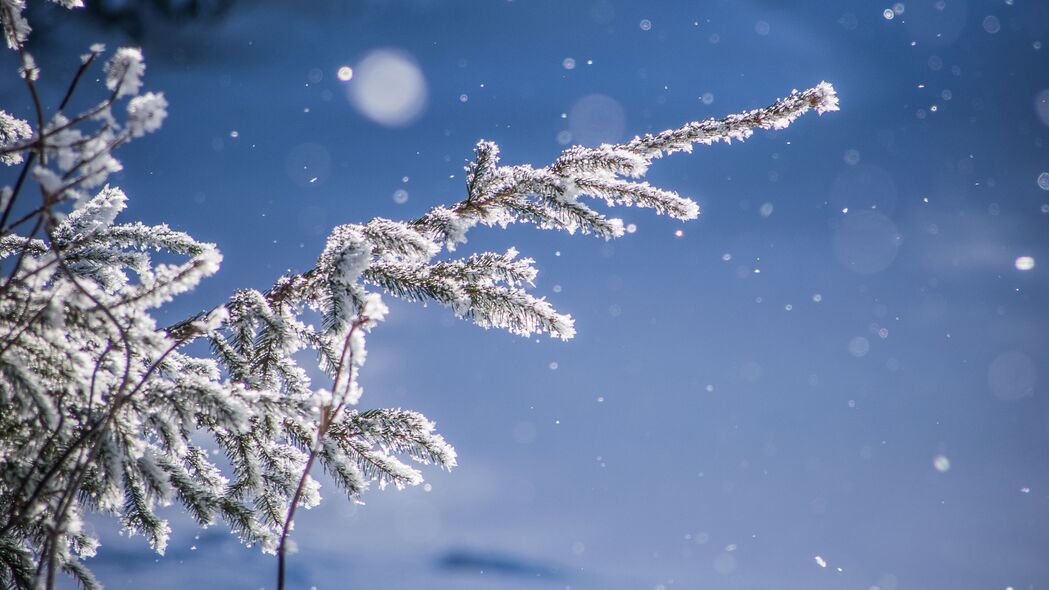 3840x2160 树枝 眩光 散焦 雪 模糊 4k壁纸 uhd 16:9