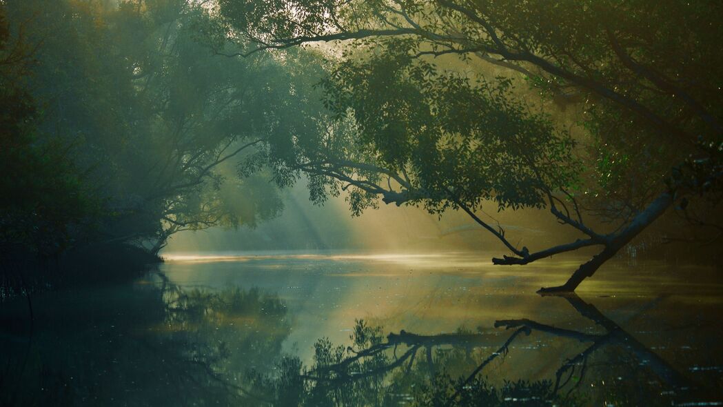 3840x2160 树木 河流 倒影 森林 沼泽 圣达班 孟加拉国 4k壁纸 uhd 16:9