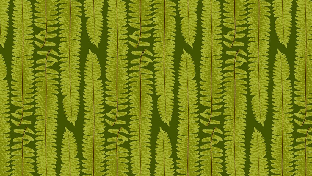 3840x2160 蕨类植物 叶子 纹理 艺术 植物 绿色 4k壁纸 uhd 16:9