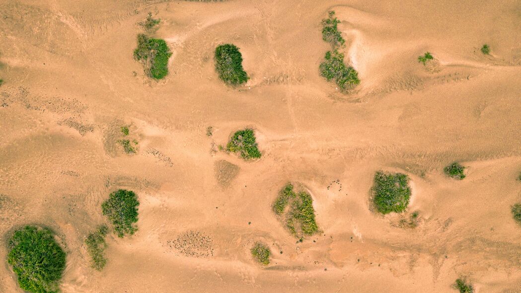 3840x2160 沙子 沙漠 沙丘 植被 4k壁纸 uhd 16:9