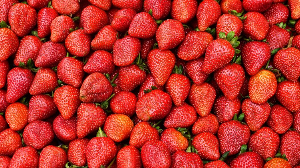 3840x2160 草莓 浆果 成熟 红色 收获 4k壁纸 uhd 16:9