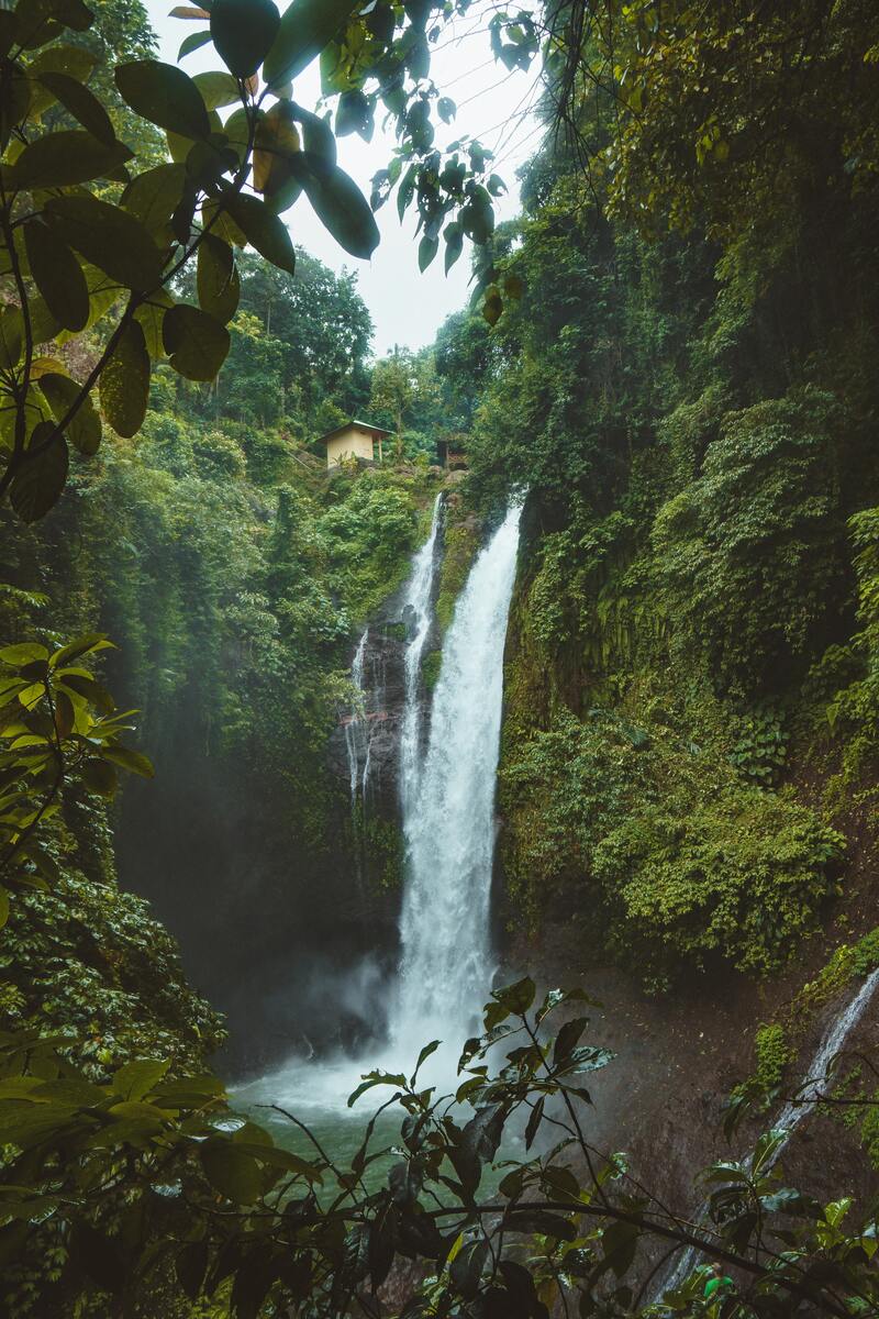 丛林间的高山流水