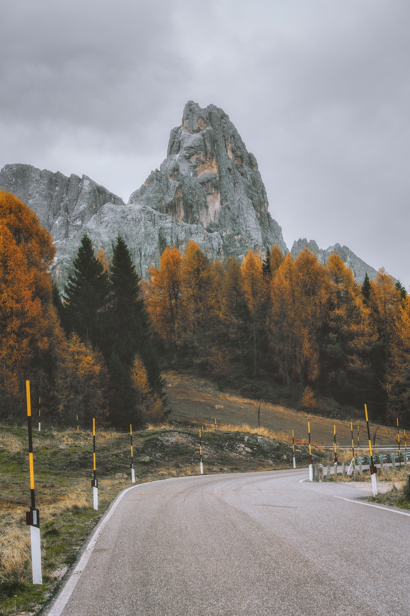 树林山区景色