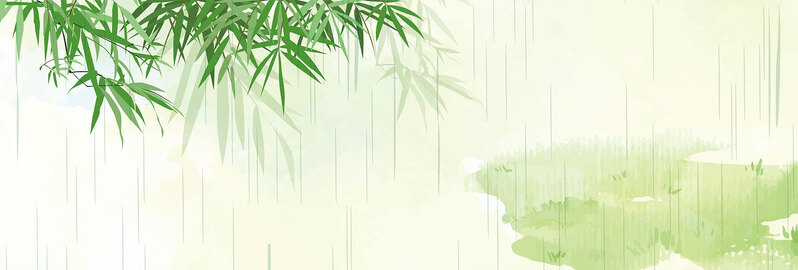 二十四节气雨水banner