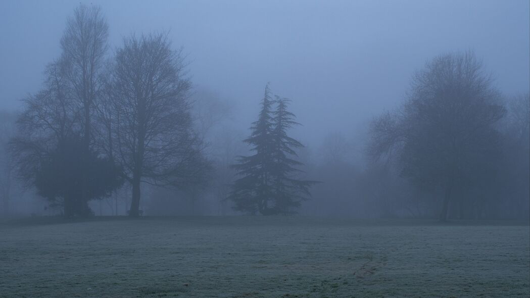树木 雾 剪影 风景 自然 4k壁纸 3840x2160