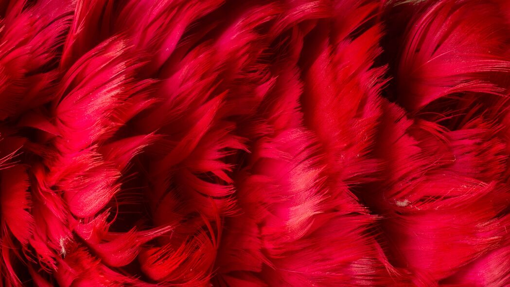 羽毛 背景 红色 纹理 4k壁纸 3840x2160