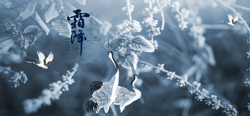 霜降二十四节气清新灰色banner