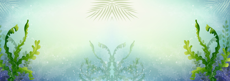 海底清新梦幻背景banner