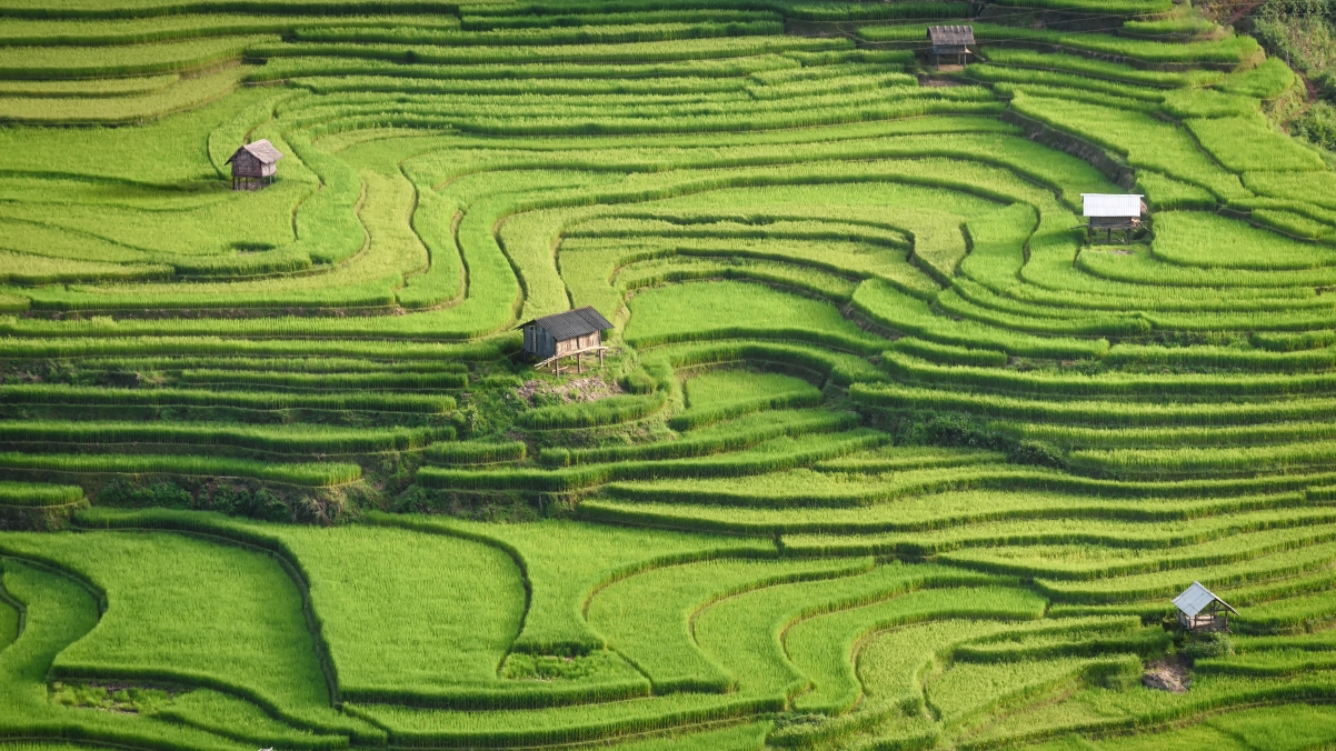 水稻梯田风景 4k桌面壁纸 3840x2160