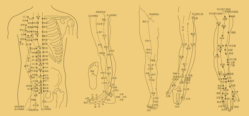 古典中医穴位背景图