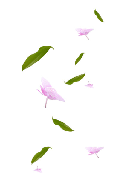 古风素描手绘古风