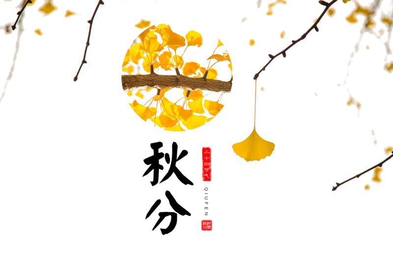 秋分艺术字
