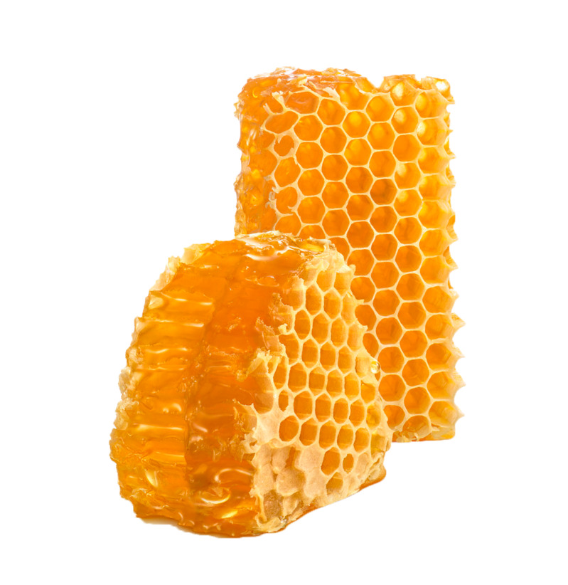 黄色美味的蜂蜜巢蜜