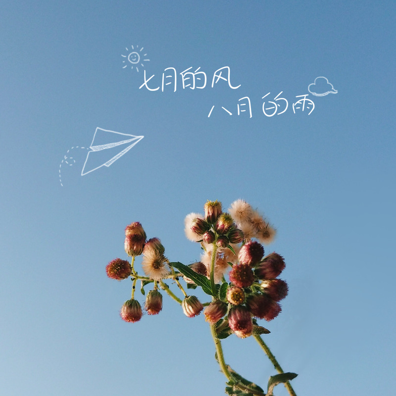 手绘摄影海报