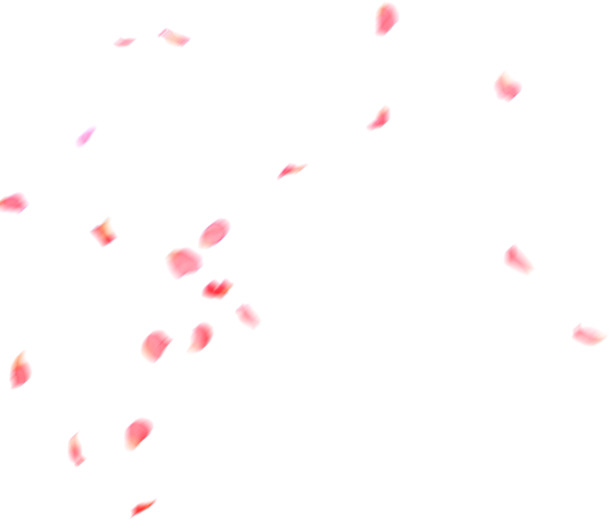 粉色漂浮花瓣漂浮装饰