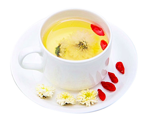 杯子里的菊花茶