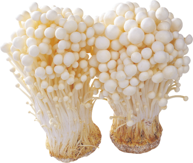 金针菇食材