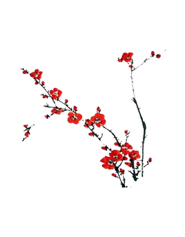 一枝梅花