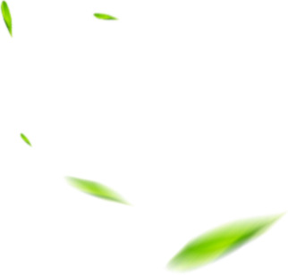 绿色叶子朦胧虚化