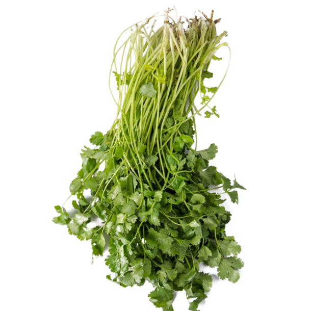 香菜免抠素材