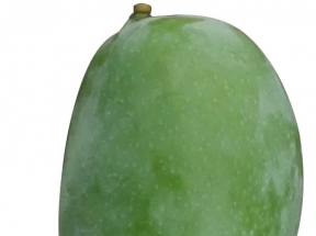 大芒果