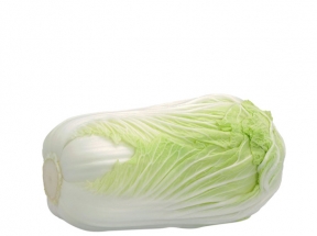 新鲜绿色的大白菜