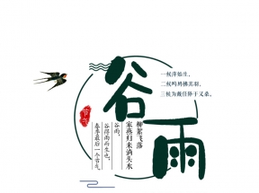 谷雨主标题文案版式