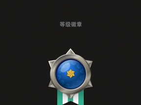 等级徽章装饰