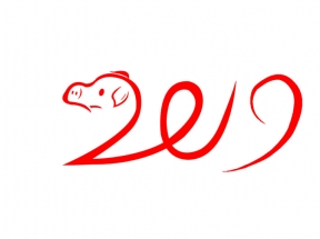 2019钢笔手绘小猪