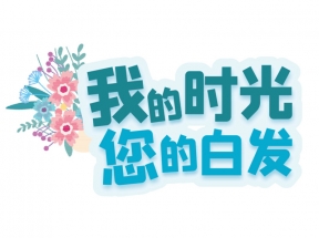 我的时光您的白发