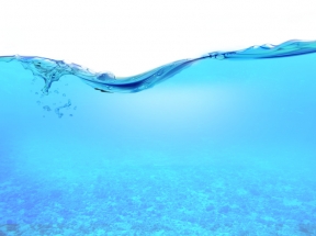 海底