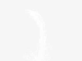 水花