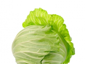 平包菜高清图片