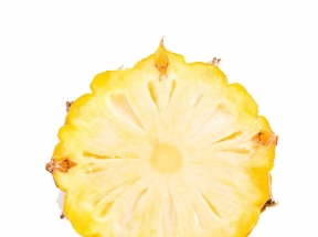 菠萝片素材