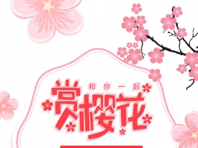 赏樱花春暖花开魅力三月