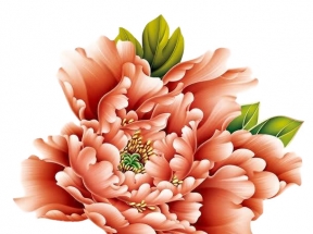 国潮大朵菊花红色元素