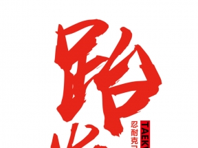 跆拳道红色大气时尚