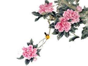 花鸟图