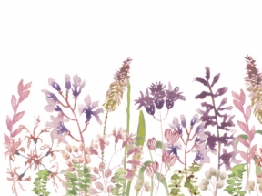 紫色小花花丛温馨