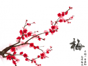 彩绘的树枝上的梅花
