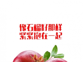 像石榴籽一样团结